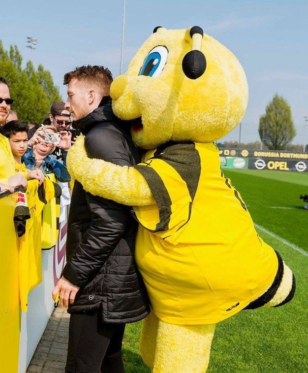 包含风云突变印第安纳步行者窗口期遗憾出局，法国杯版图或变，引发热议，赛季目标并未改变的词条-爱游戏平台